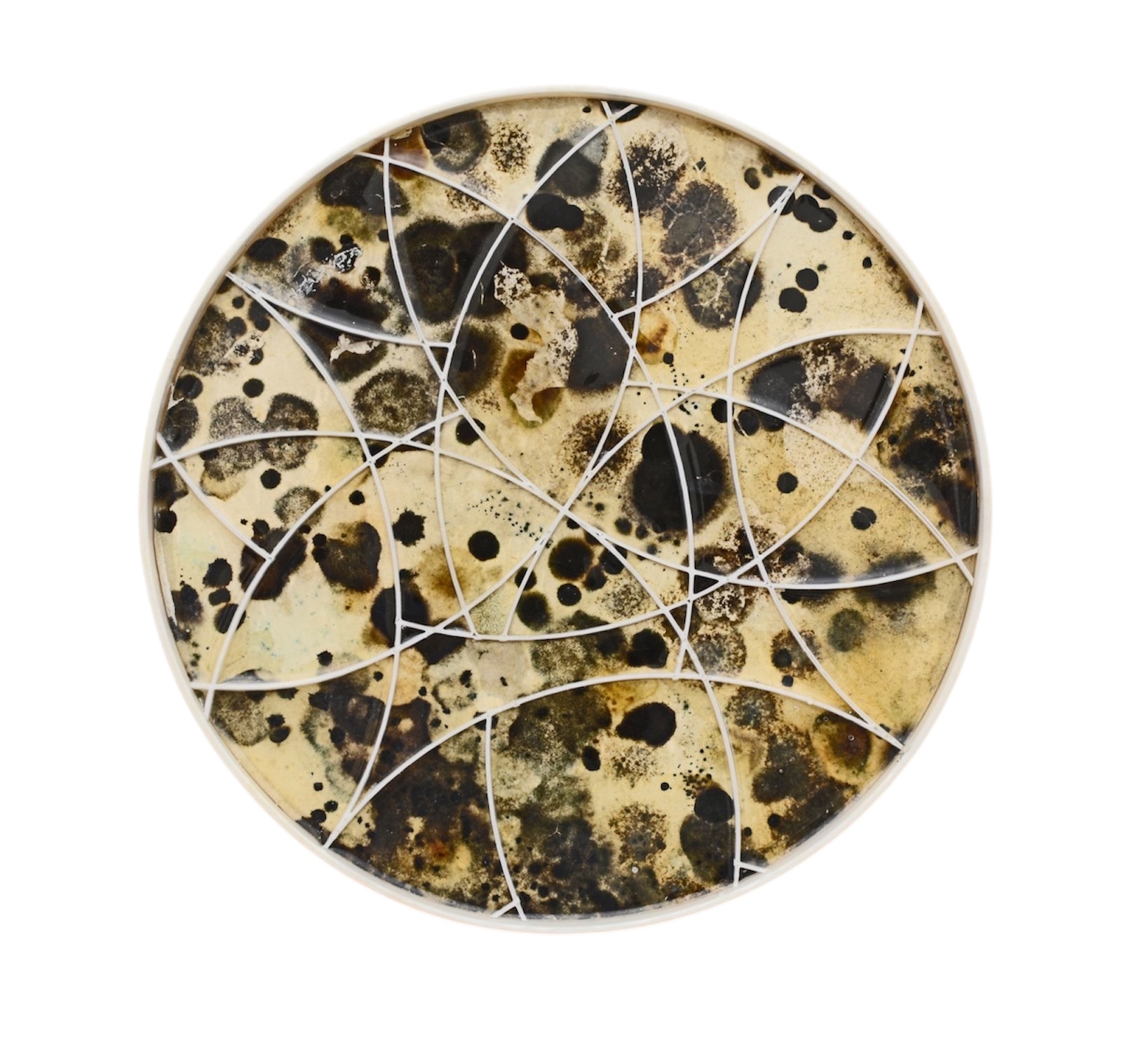 Artwork titled Mycelial Ornaments